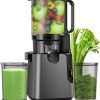 400W Cold Press Juicer with Wide Feed Chute – Titanium Gray