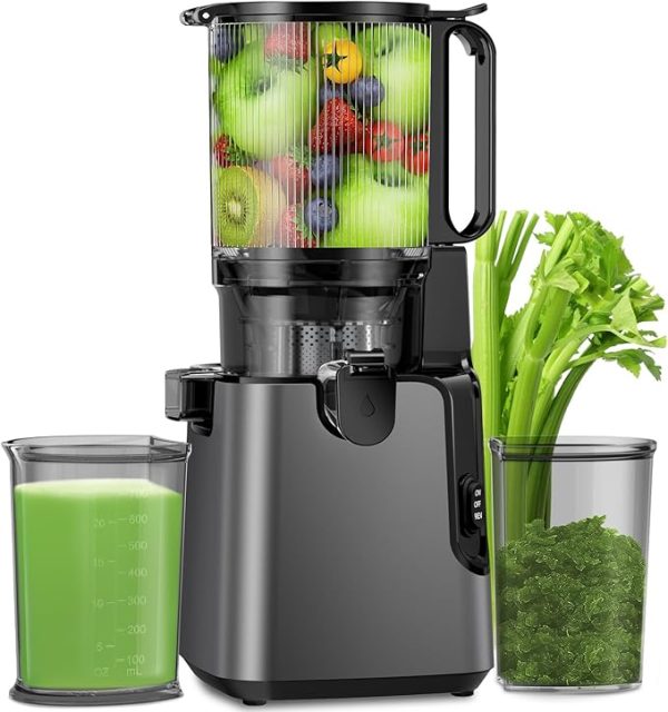 400W Cold Press Juicer with Wide Feed Chute – Titanium Gray